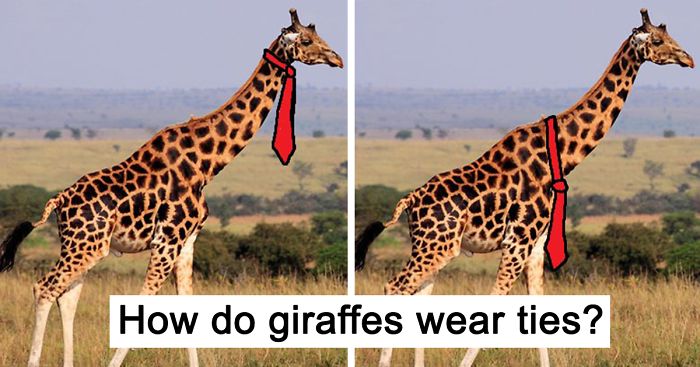 Giraffe Ties